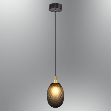 Lámpara colgante CACTUS con cable 1xG9/5W/230V, negra