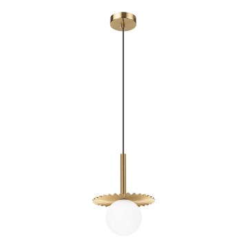 Lámpara colgante CHITA 1xG9/5W/230V dorada