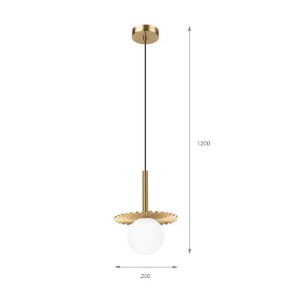 Lámpara colgante CHITA 1xG9/5W/230V dorada