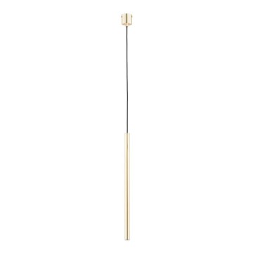 Lámpara colgante COLLET 1xG9/40W/230V dorado