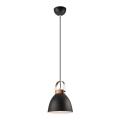 Lámpara colgante con cable DANIELLE 1xE27/60W/230V haya