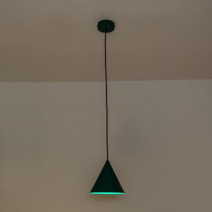 Lámpara colgante con cable ETNA 1xE27/15W/230V Ø 18,5 cm verde