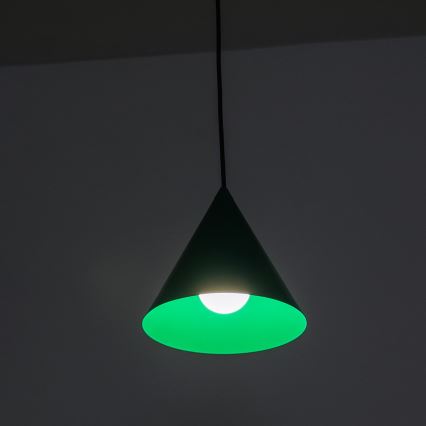 Lámpara colgante con cable ETNA 1xE27/15W/230V Ø 18,5 cm verde