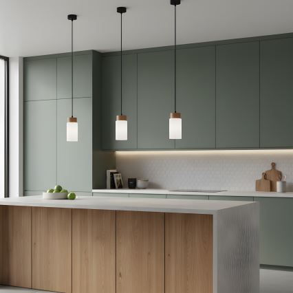 Lámpara colgante con cable MARKUS 1xE27/15W/230V negro/roble