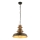 Lámpara colgante con cadena 1xE27/40W/230V bronce