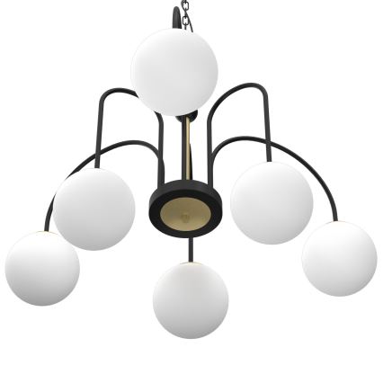 Lámpara colgante con cadena CAMBRIDGE 6xE14/60W/230V negro/latón