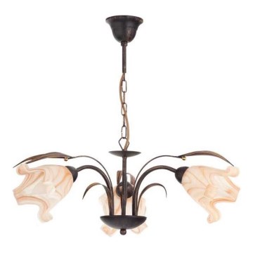 Lámpara colgante con cadena DUCATTI 3xE14/10W/230V bronce