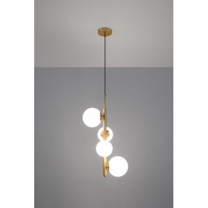 Lámpara colgante CORDEL 4xG9/20W/230V dorado