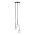 Lámpara colgante DAISY 3xG9/12W/230V diá. 27 cm cromo brillante/negro/transparente