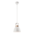 Lámpara colgante DANIELLE 1xE27/60W/230V haya