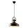 Lámpara colgante DODO 1xE27/40W/230V negra/bronce
