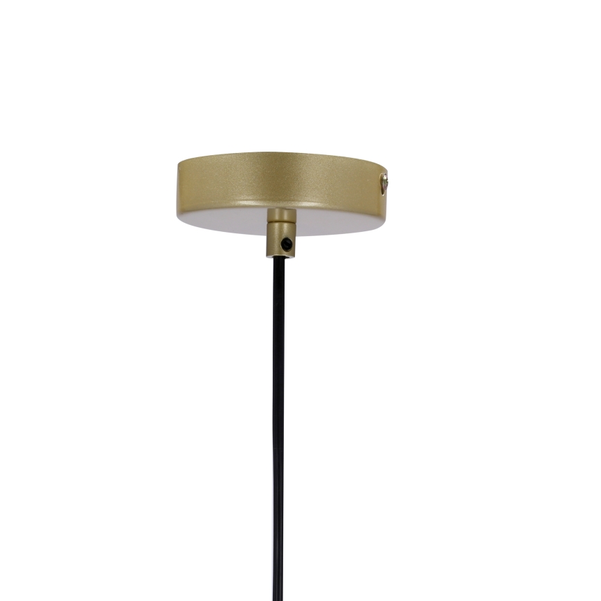 Lámpara colgante DUO 2xE14/40W/230V dorado/negro