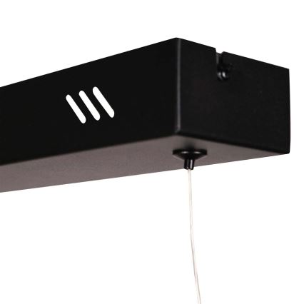 Lámpara colgante en cable BERNADETTA LED/20W/230V 4000K negra
