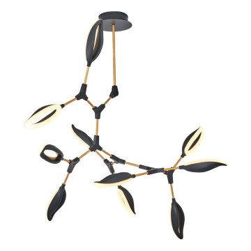 Lámpara colgante en varilla ASTI 10 x LED de 7 W, 230 V, 3000 K, negra