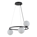 Lámpara colgante GAMA 3xG9/12W/230V negro