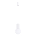 Lámpara colgante HALO 1xG9/8W/230V diá. 12 cm blanco