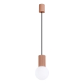Lámpara colgante HALO 1xG9/8W/230V diá. 12 cm marrón