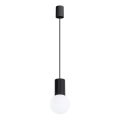 Lámpara colgante HALO 1xG9/8W/230V diá. 12 cm negro