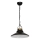 Lámpara colgante IRON 1 1xE27/60W negro/antic latón