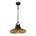 Lámpara colgante IRON 1xE27/60W/230V