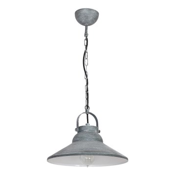 Lámpara colgante IRON 1xE27/60W