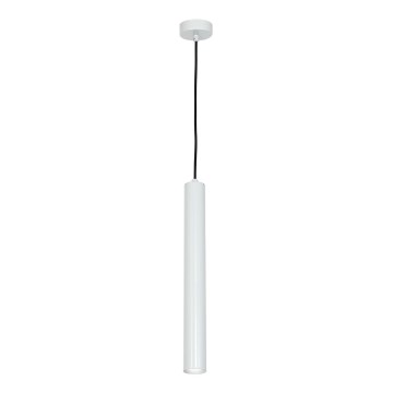 Lámpara colgante LED con cable GOTO LED/4W/230V