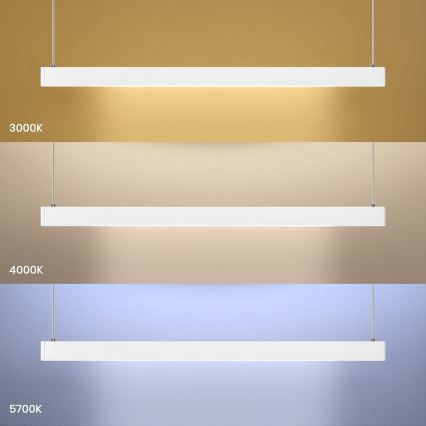 Lámpara colgante LED con cable LINEA LED/36W/230V 3000/4000/5700K CRI 90 blanca