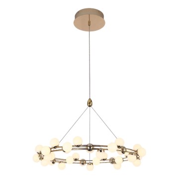 Lámpara colgante LED con cable MARS LED/50W/230V 3000K, color dorado