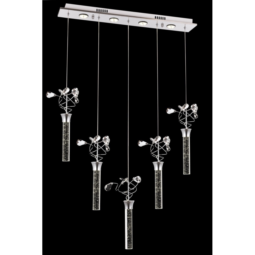 Lámpara colgante LED con cable PIGEON 5xLED/6W/230V 6500K cromo brillante