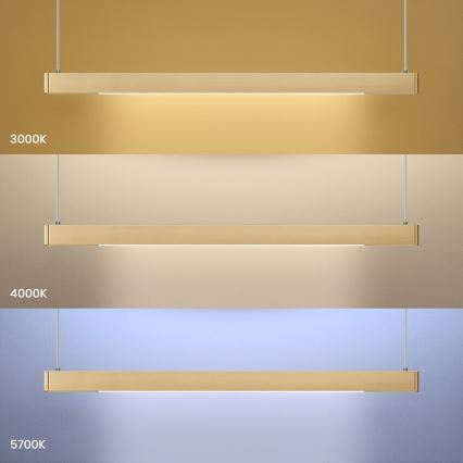Lámpara colgante LED en cable LINEA LED/36W/230V 3000/4000/5700K CRI 90 dorada