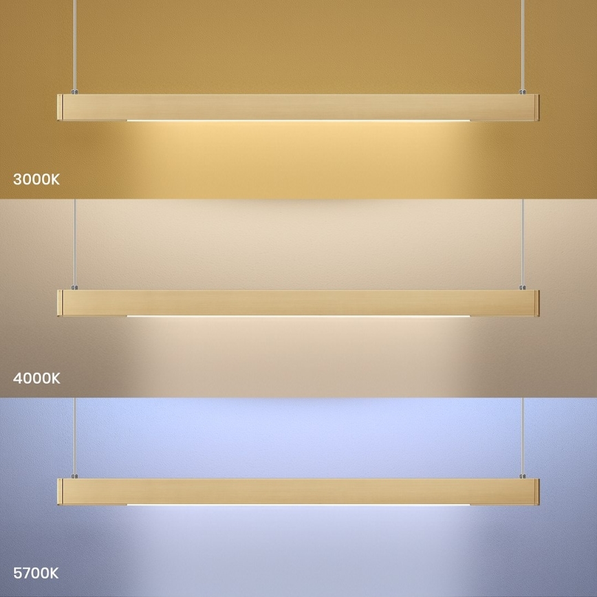 Lámpara colgante LED en cable LINEA LED/36W/230V 3000/4000/5700K CRI 90 dorada