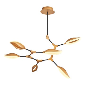 Lámpara colgante LED en varilla ASTI 6xLED/7W/230V 3000K dorada