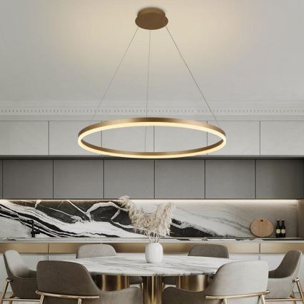 Lámpara colgante LED regulable con cable LED/55W/230V 3000-6500K Ø 80 cm + mando a distancia