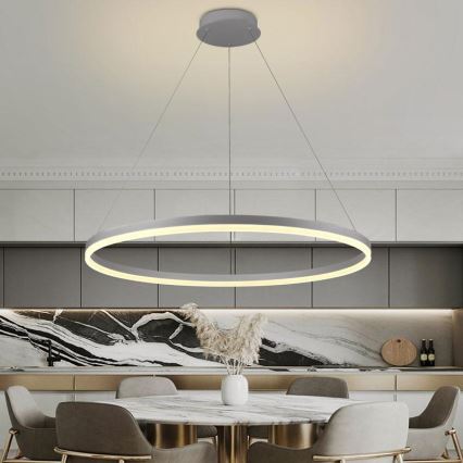 Lámpara colgante LED regulable con cable LED/55W/230V 3000-6500K Ø 80 cm + mando a distancia