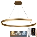 Lámpara colgante LED regulable con cable LED/100W/230V 3000-6500K Ø 80 cm + mando a distancia