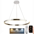 Lámpara colgante LED regulable con cable LED/100W/230V 3000-6500K Ø 80 cm + mando a distancia