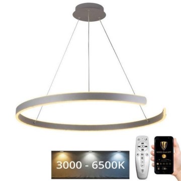 Lámpara colgante LED regulable con cable LED/100W/230V 3000-6500K Ø 80 cm + mando a distancia
