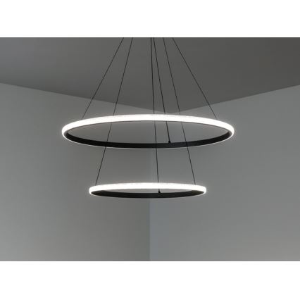 Lámpara colgante LED regulable con cable LED/55W/230V 3000-6500K Ø 60 cm + mando a distancia
