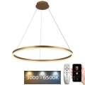 Lámpara colgante LED regulable con cable LED/55W/230V 3000-6500K Ø 80 cm + mando a distancia