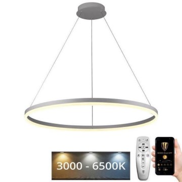 Lámpara colgante LED regulable con cable LED/55W/230V 3000-6500K Ø 80 cm + mando a distancia