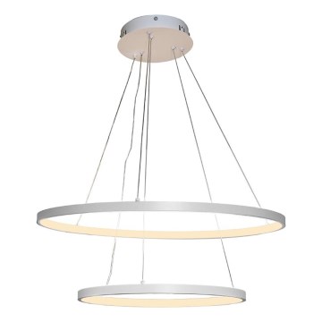 Lámpara colgante LED regulable con cable LED/75W/230V 3000-6500K Ø 60 cm + mando a distancia