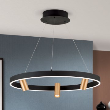 Lámpara colgante LED regulable en cable BERLIN LED/50W/230V negro/dorado