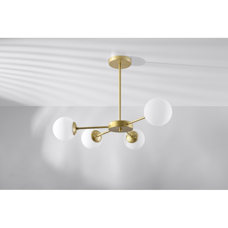 Lámpara colgante MATI 4xG9/20W/230V dorado