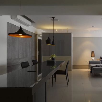 Lámpara colgante MODERN E27/60W negro