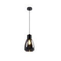 Lámpara colgante MOLDO 1xE27/40W/230V negro/negro ahumado