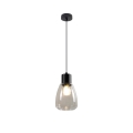 Lámpara colgante MOLDO 1xE27/40W/230V negro/transparente