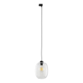 Lámpara colgante para sistema de rieles trifásico ELIO 1xE27/15W/230V negro/transparente