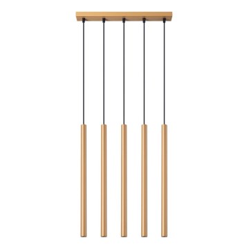 Lámpara colgante PASTELO 5xG9/8W/230V dorado