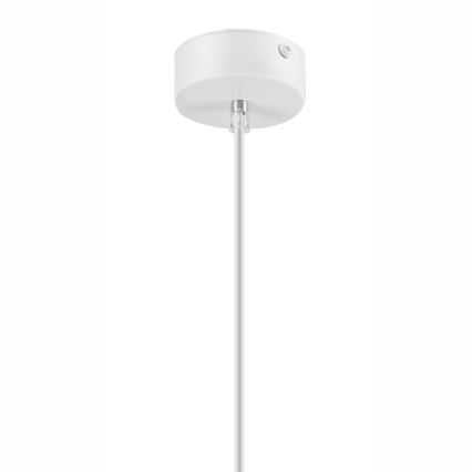 Lámpara colgante SIMON 1xE27/60W/230V haya