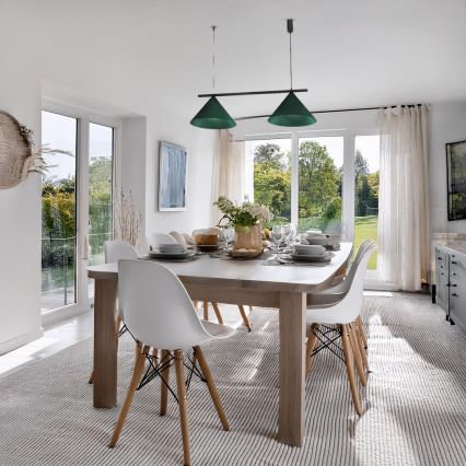 Lámpara colgante suspendida por cable CAPITAL 2xGX53/15W/230V verde